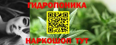 ПСИЛОЦИБИНОВЫЕ ГРИБЫ Можга