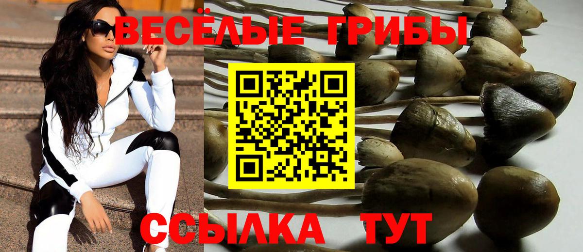Псилоцибиновые грибы GOLDEN TEACHER  Вход с VPN  Галлюциногенные грибы MAGIC MUSHROOMS  Избербаш 