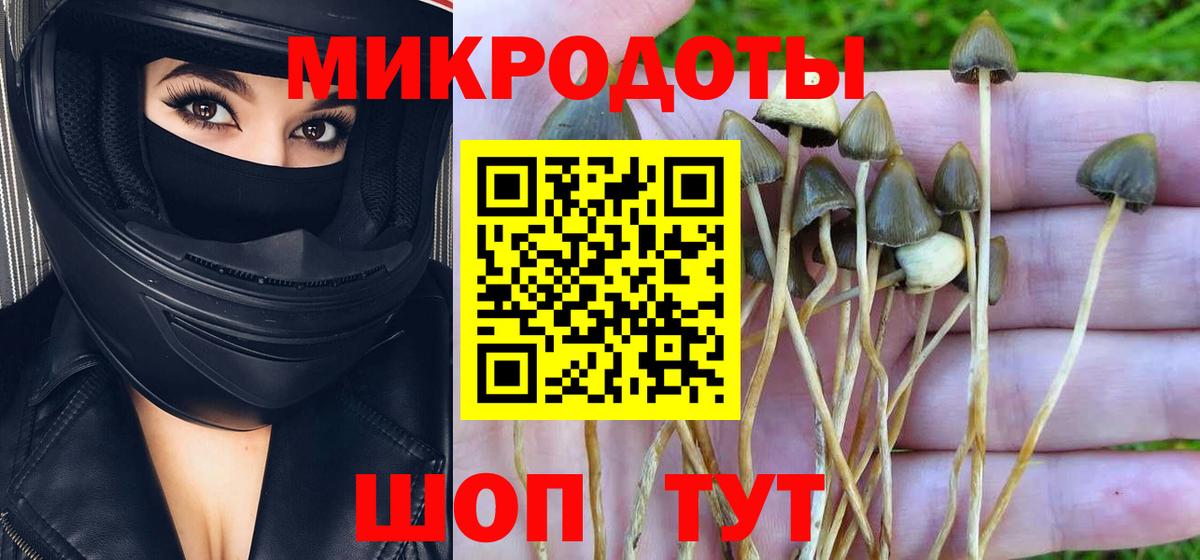 Псилоцибиновые грибы GOLDEN TEACHER  Псилоцибиновые грибы мухоморы  Избербаш 