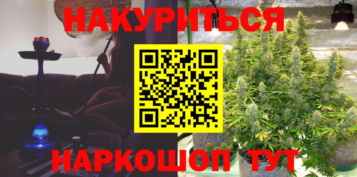 Каннабис конопля Избербаш